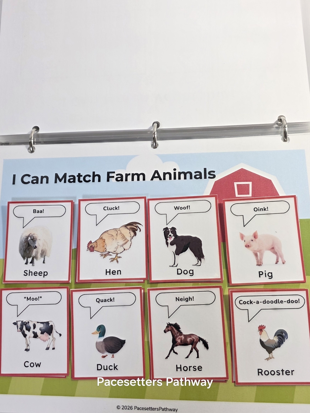 Pacesetters Preschool Kindergarten Readiness Learning Binder, For Ages 3-5, NEW - Picture 15 of 17